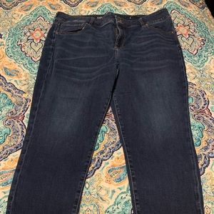 American Eagle Plus Size Women’s Capris Size 24